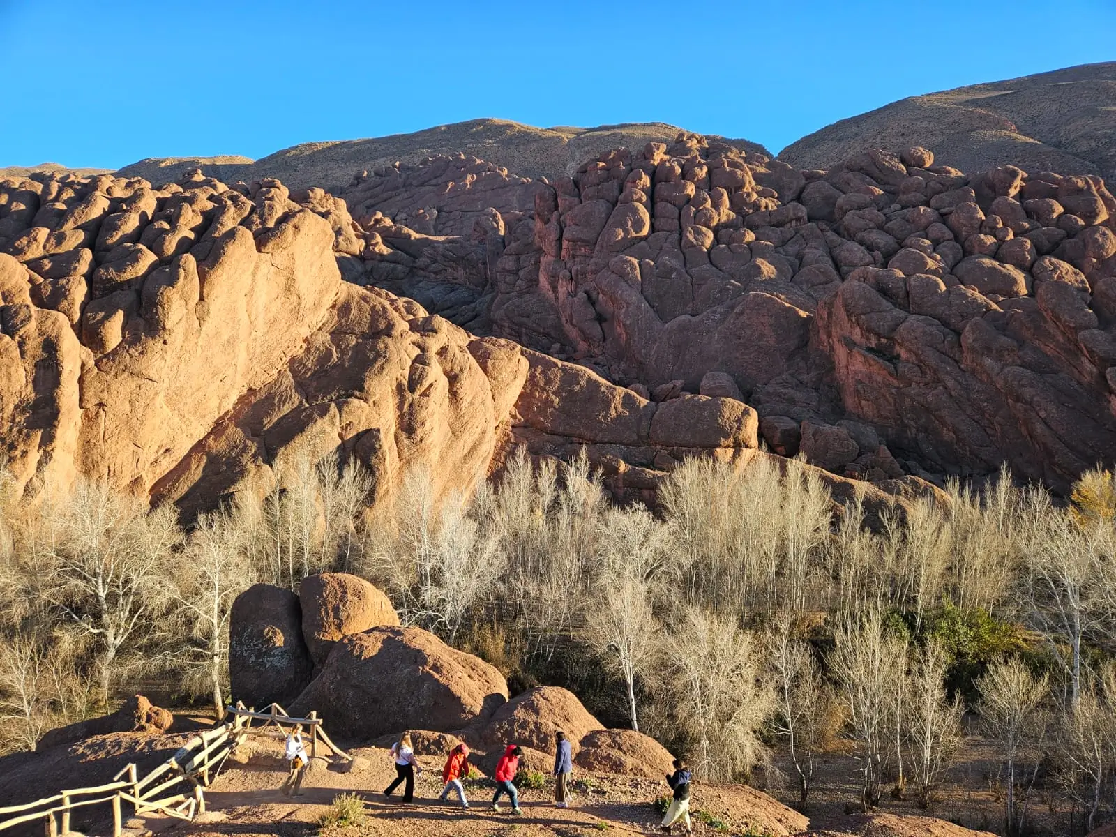 Best Morocco Tours Agencies via Reddit: Your Guide to Memorable Trips